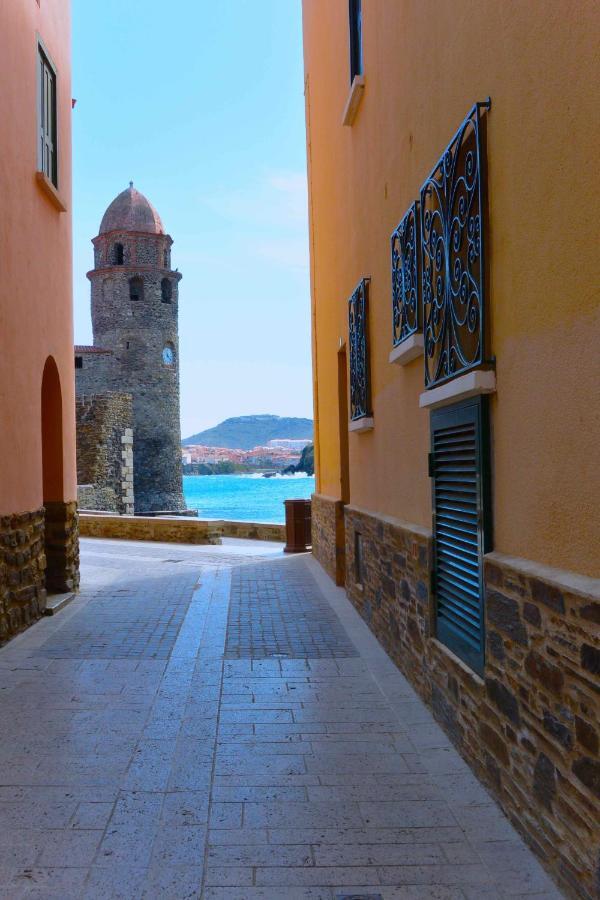Studio vue mer et Cap Canet-en-Roussillon Eksteriør bilde